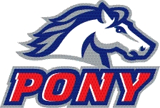 Pony Web Site